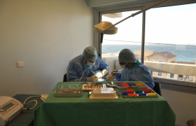 Chirurgiens-Dentistes à Marseille 8ème (13008)